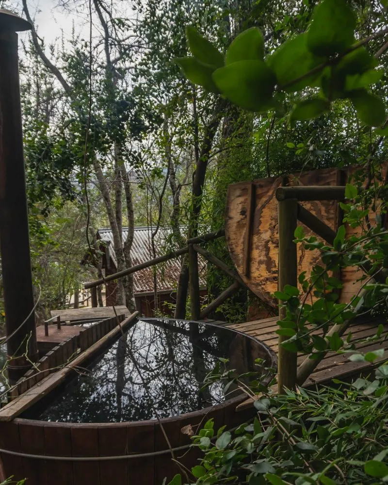 Tinaja caliente de madera en una terraza rodeada de bosque nativo