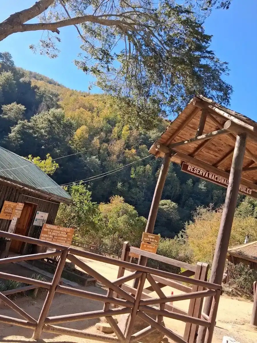 Mirador de madera sobre el quebrado de la Reserva Los Ruiles