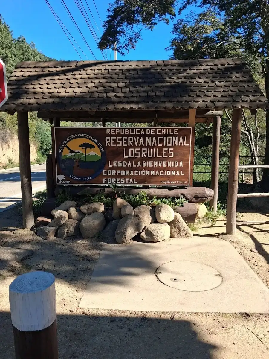 Portada de madera de la entrada a la Reserva Nacional Los Ruiles