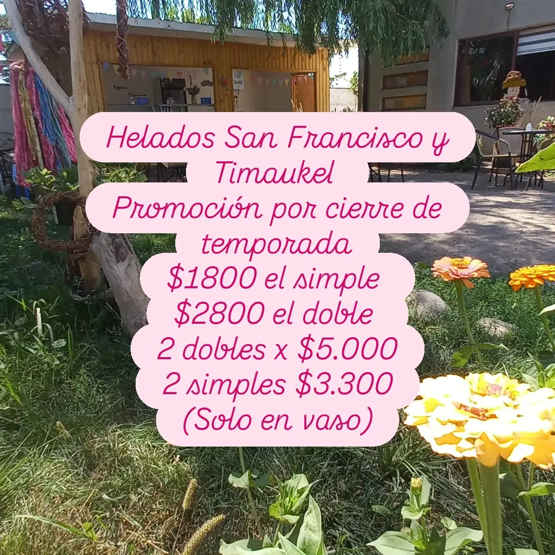 Afiche real de Espacio Dominga: promoción de cierre de temporada, helados San Francisco y Timaukel