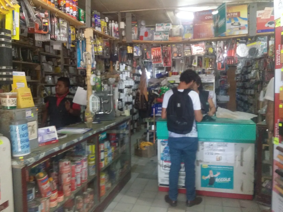 Repisas con pinturas y accesorios en Ferretería Ávila