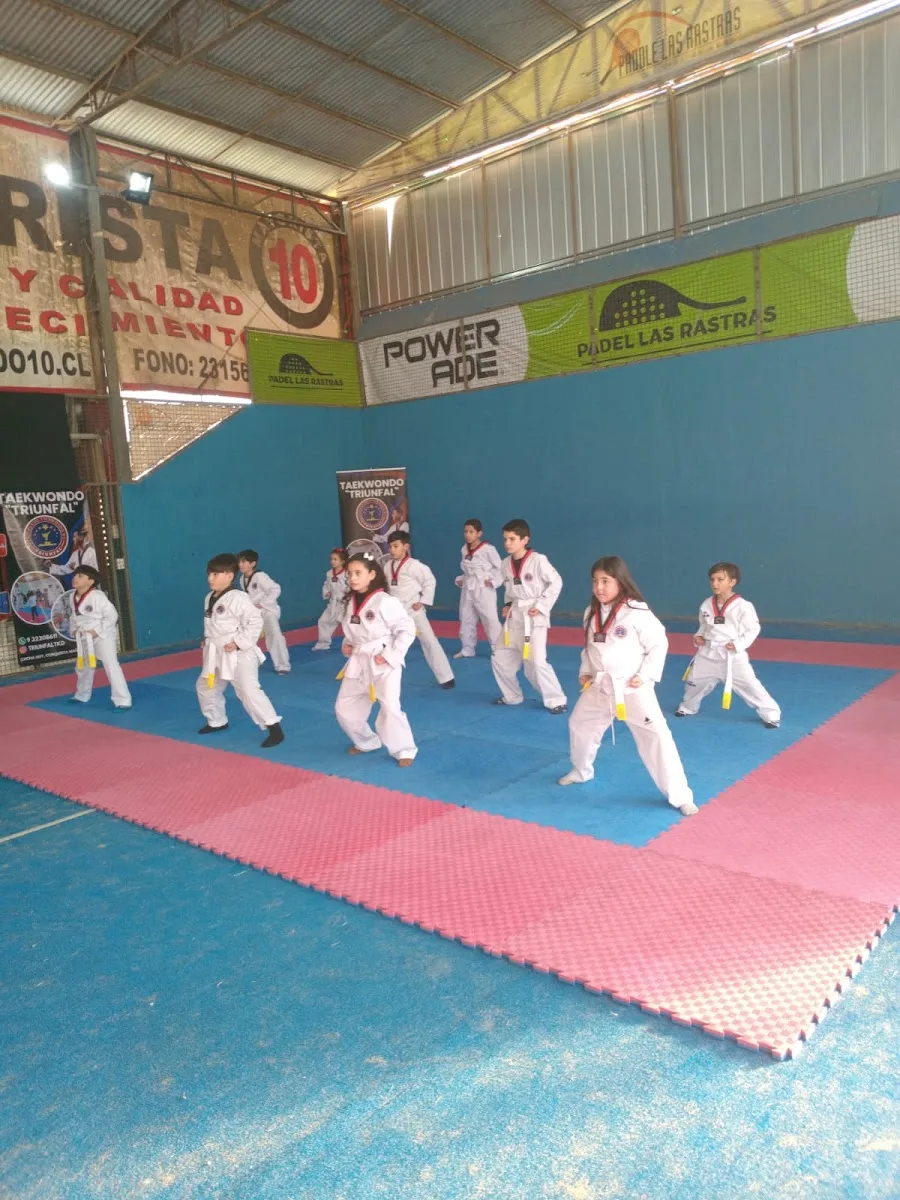 Alumnos de taekwondo entrenando en el gimnasio de Las Rastras junto a los banners del recinto