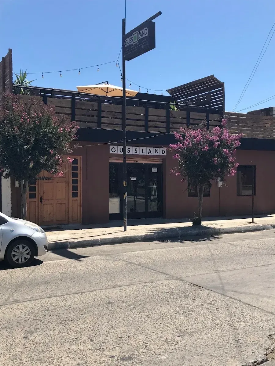 Fachada terracota de Gussland con su terraza sobre la Av. Lautaro en Licantén