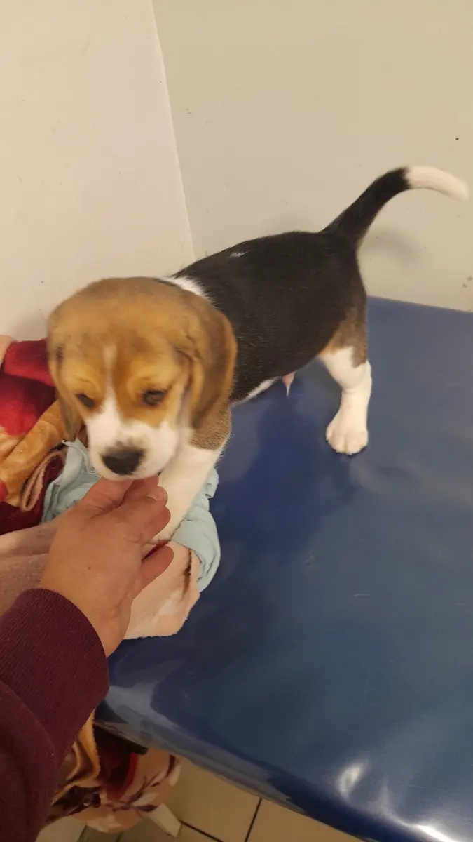 Paciente recuperado de vuelta con su familia