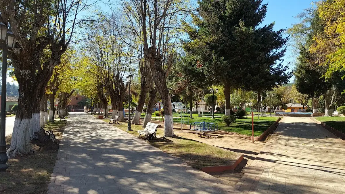 Alameda de árboles en el centro de Empedrado
