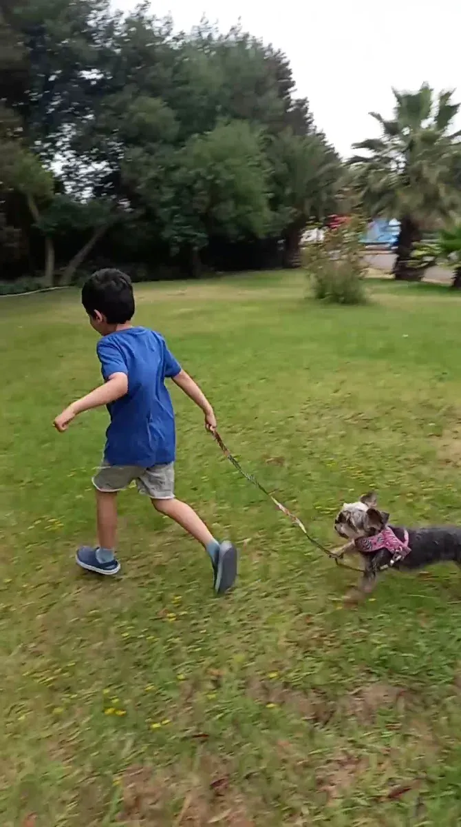 Niño con su perro en el jardín de la hostería