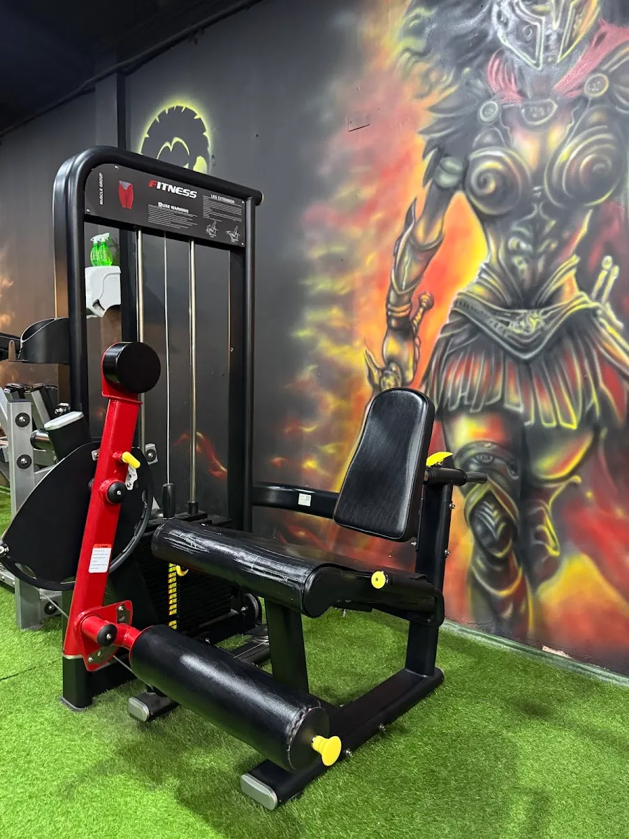 máquinas nuevas del gimnasio Iron Element en Talca