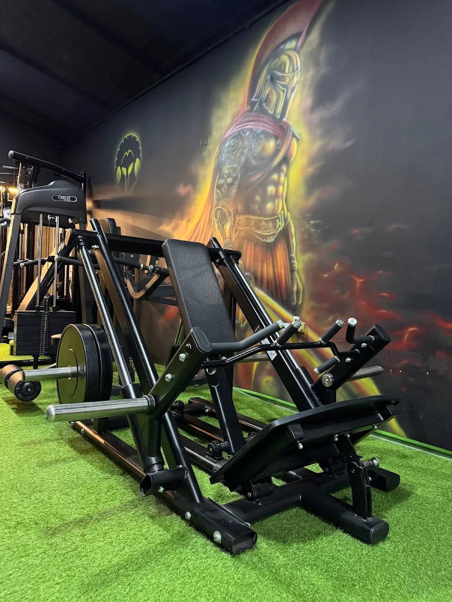 zona de fuerza del gimnasio Iron Element en Talca