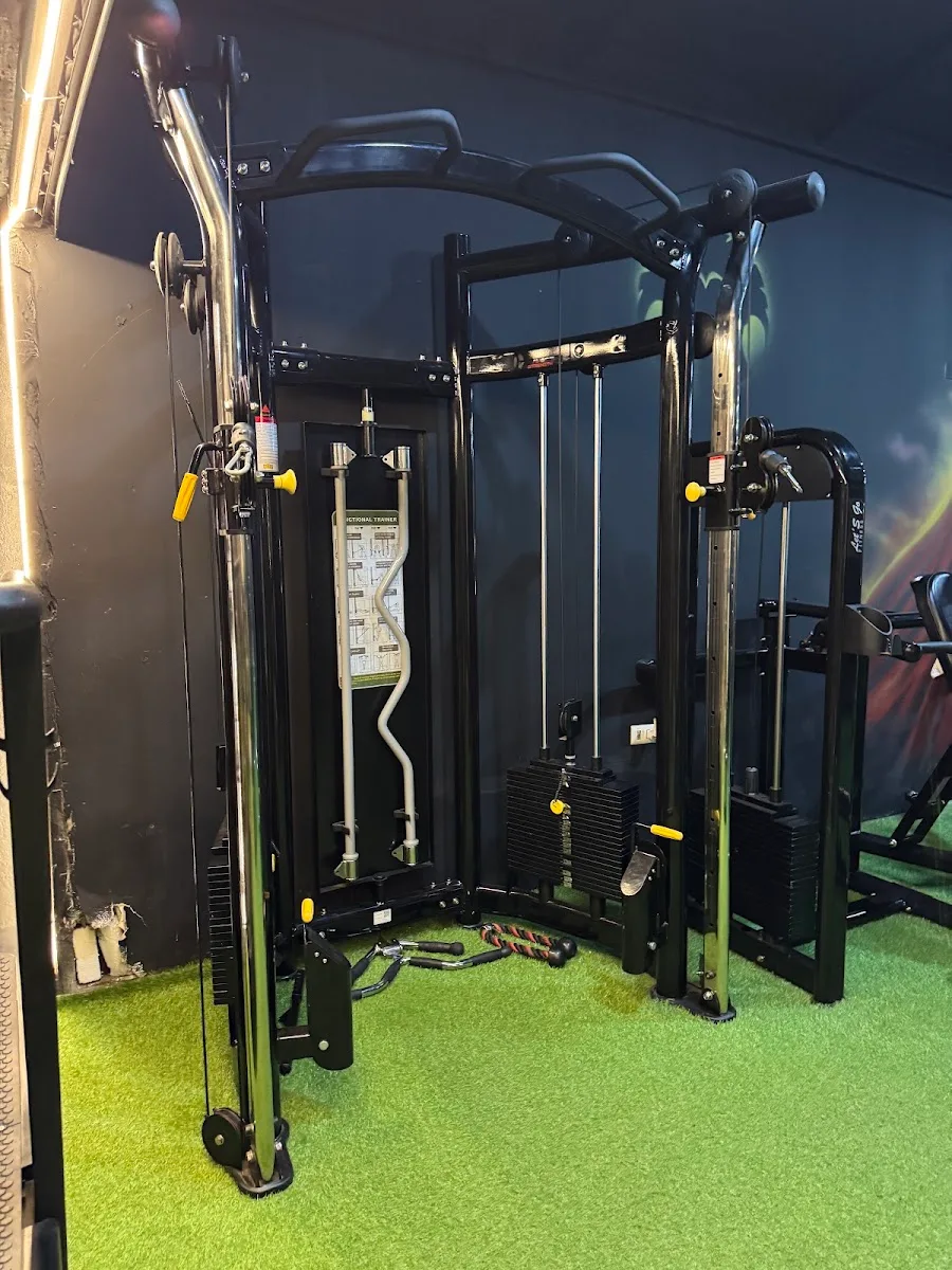 estaciones de polea del gimnasio Iron Element en Talca