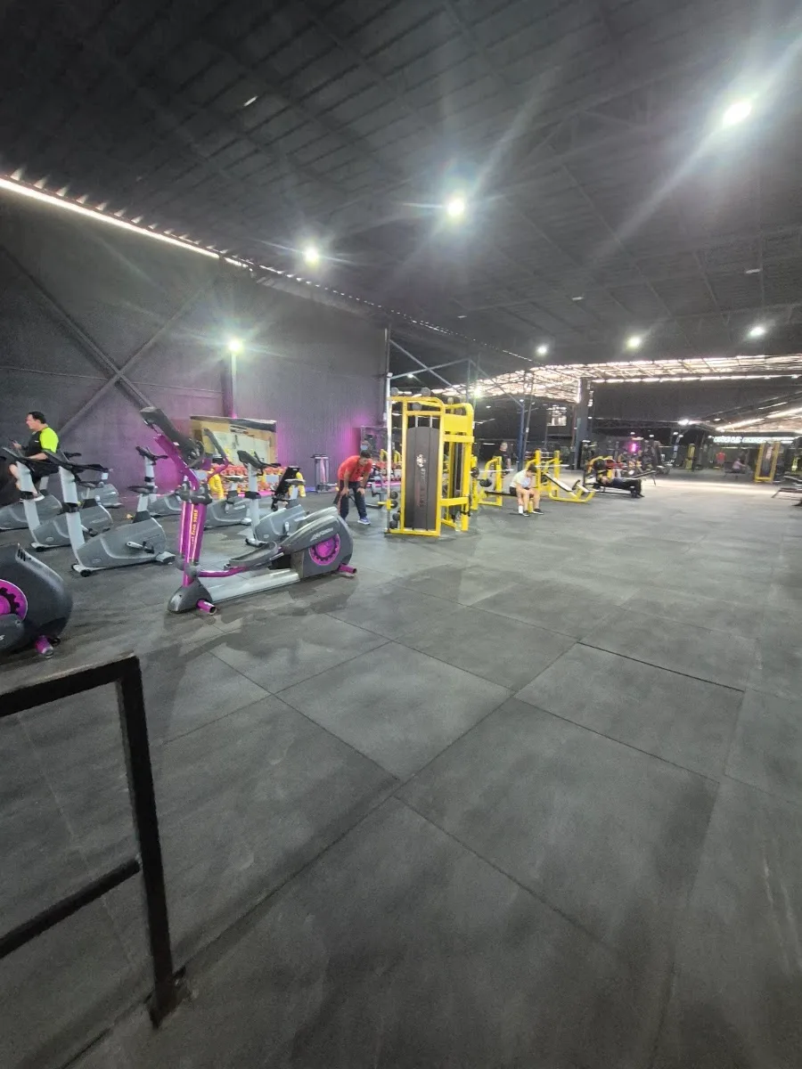 Zona de cardio del gimnasio con bicicletas y elípticas