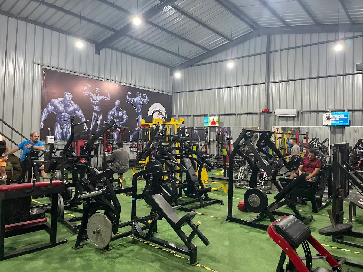 Sala principal de Iron Element: personas entrenando entre máquinas sobre pasto verde