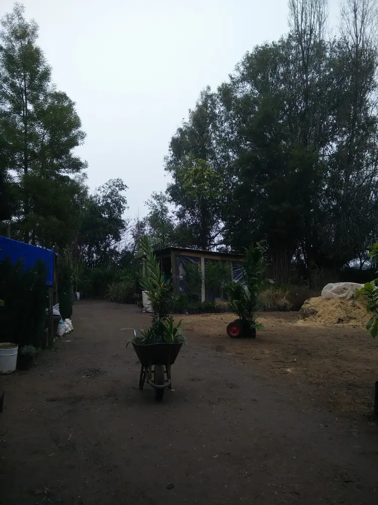Entrada de Jardín Alemán sobre Ruta 115, Talca