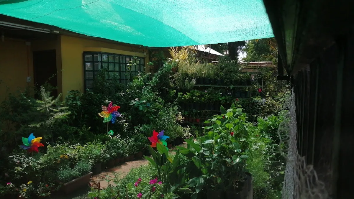 Rincón del jardín del vivero con molinetes de colores entre las plantas