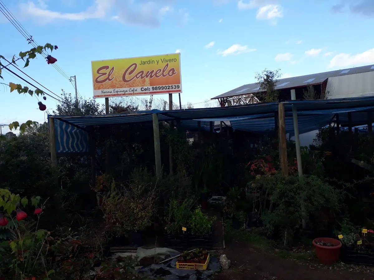 Fachada del vivero El Canelo con su letrero amarillo, entrada norte de Talca