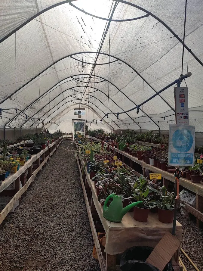 Pasillo del invernadero con plantas de interior