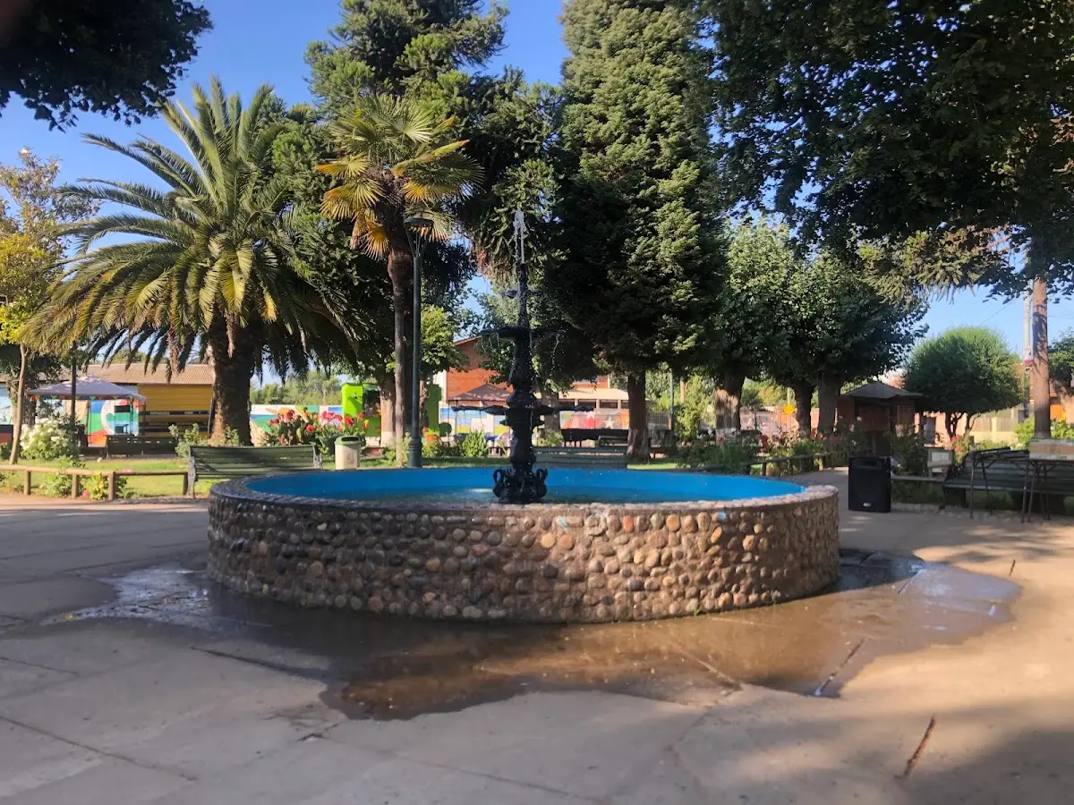 Plaza de Putú: pileta de piedra rodeada de palmeras