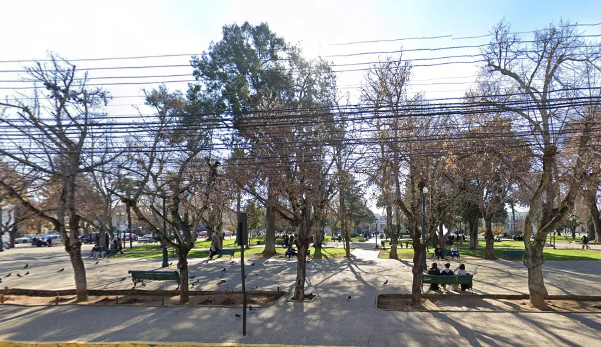 Plaza de Cauquenes frente al restaurante, con sus árboles y bandejas