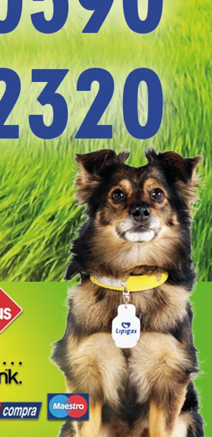 El perrito mascota de Vitugas con pañuelo Lipigas
