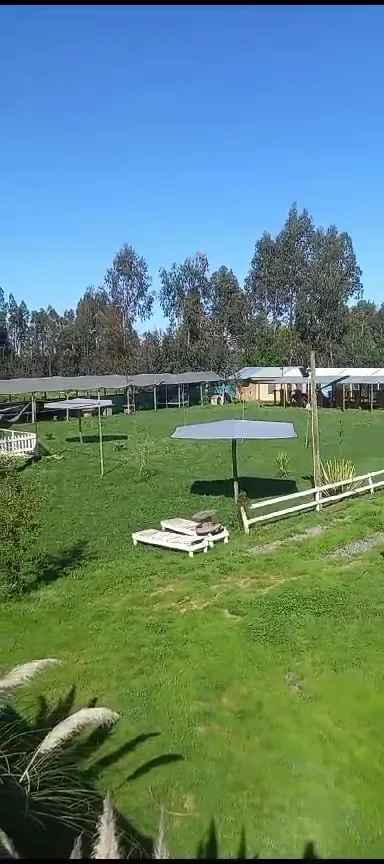 Pradera verde de Los Treiles con árboles y casas de fondo en San Francisco, Pelarco