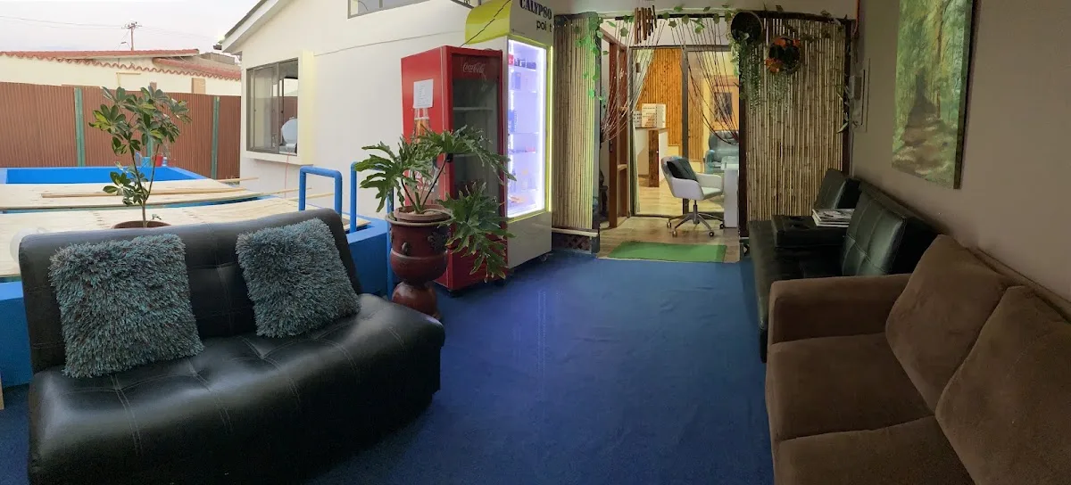 Sala de espera de Luze Vital con sofás y luz natural