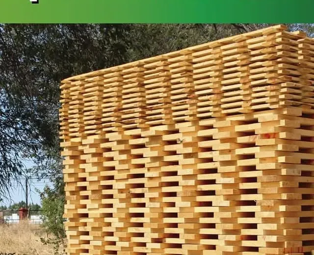 Pila de madera dimensionada lista para despacho
