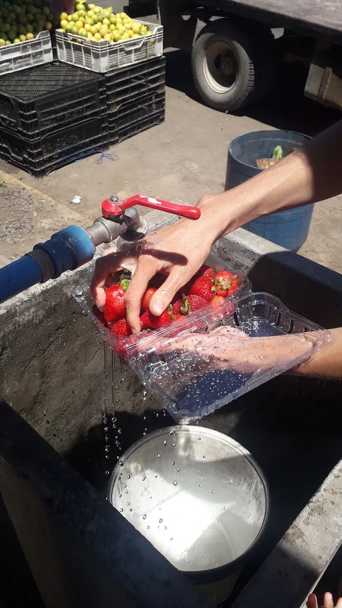 Manos lavando frutillas en un puesto de la feria