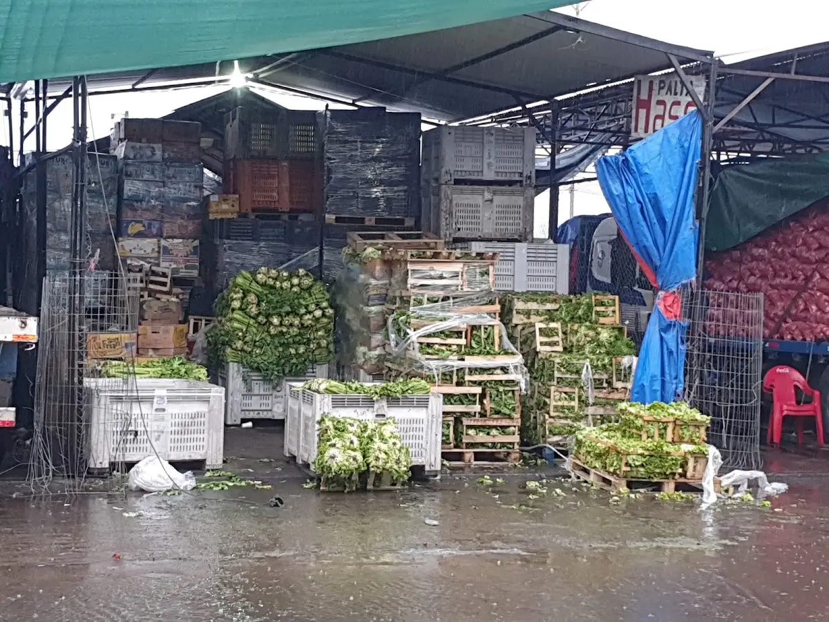 Puesto de verduras y frutas ordenado en la entrada de la feria
