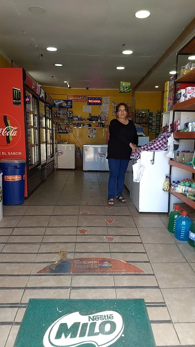 Interior del Minimarket El Trébol con góndolas y refrigeradores