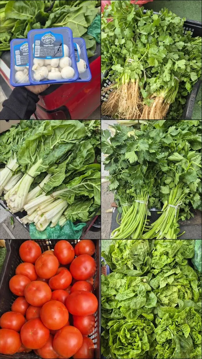 Verduras frescas de Minimarket Emily: apio, tomates y cilantro recién llegados al local