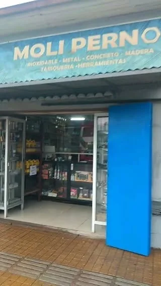 Fachada de Moli Pernos en Av. Poniente: toldo azul con el letrero y las líneas de producto