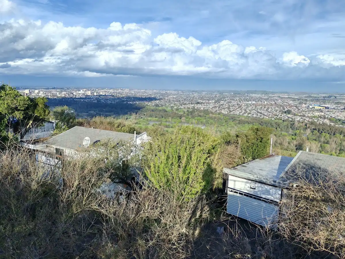 Cabañas de Cabañas del Cerro entre árboles nativos