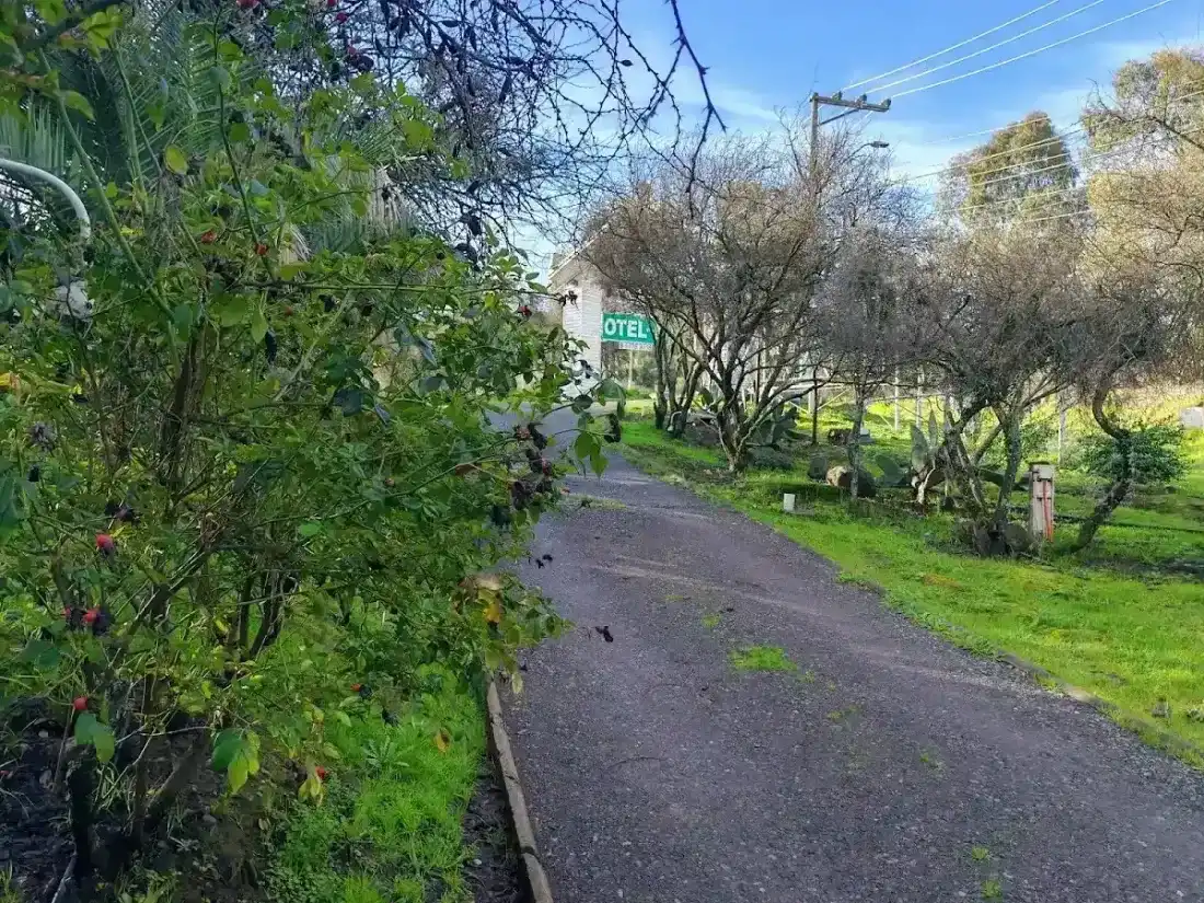 Jardín con cactus y plantas en Cabañas del Cerro