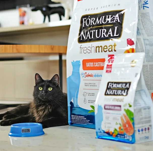 Gato negro junto a las bolsas de alimento natural de la tienda