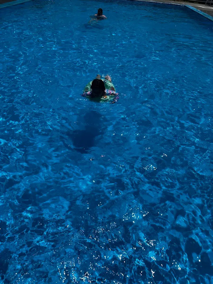 Niños nadando en la piscina de Santa Adela un día soleado