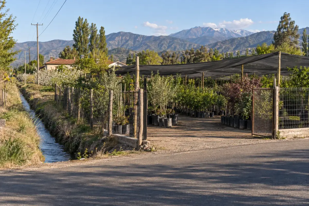 Entrada del vivero al costado de la carretera, junto al canal, con malla de sombreo y cerros de fondo
