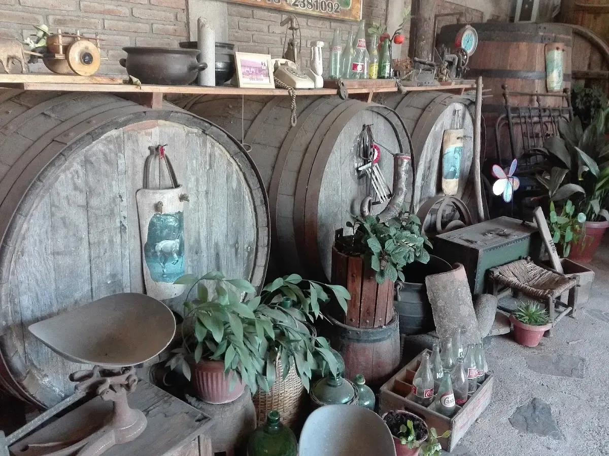 Barricas de madera de la bodega Raíces Villalegrinas
