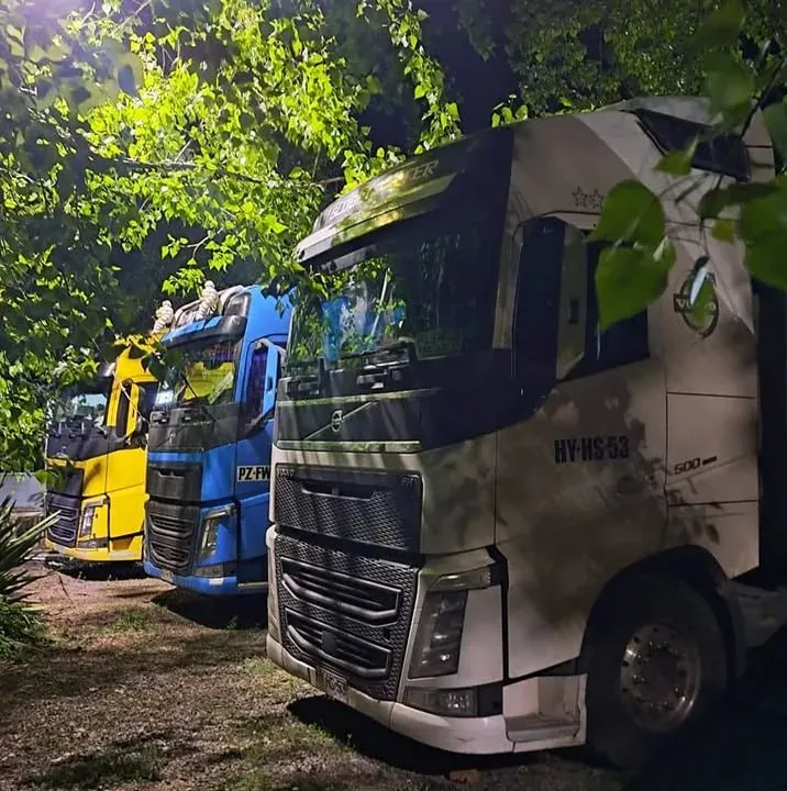 Camiones estacionados bajo los árboles en la parada de El Rancho, Longaví