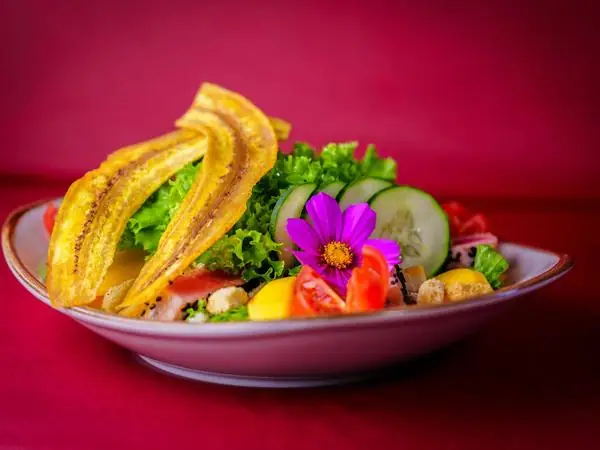 Ensalada fresca de la huerta