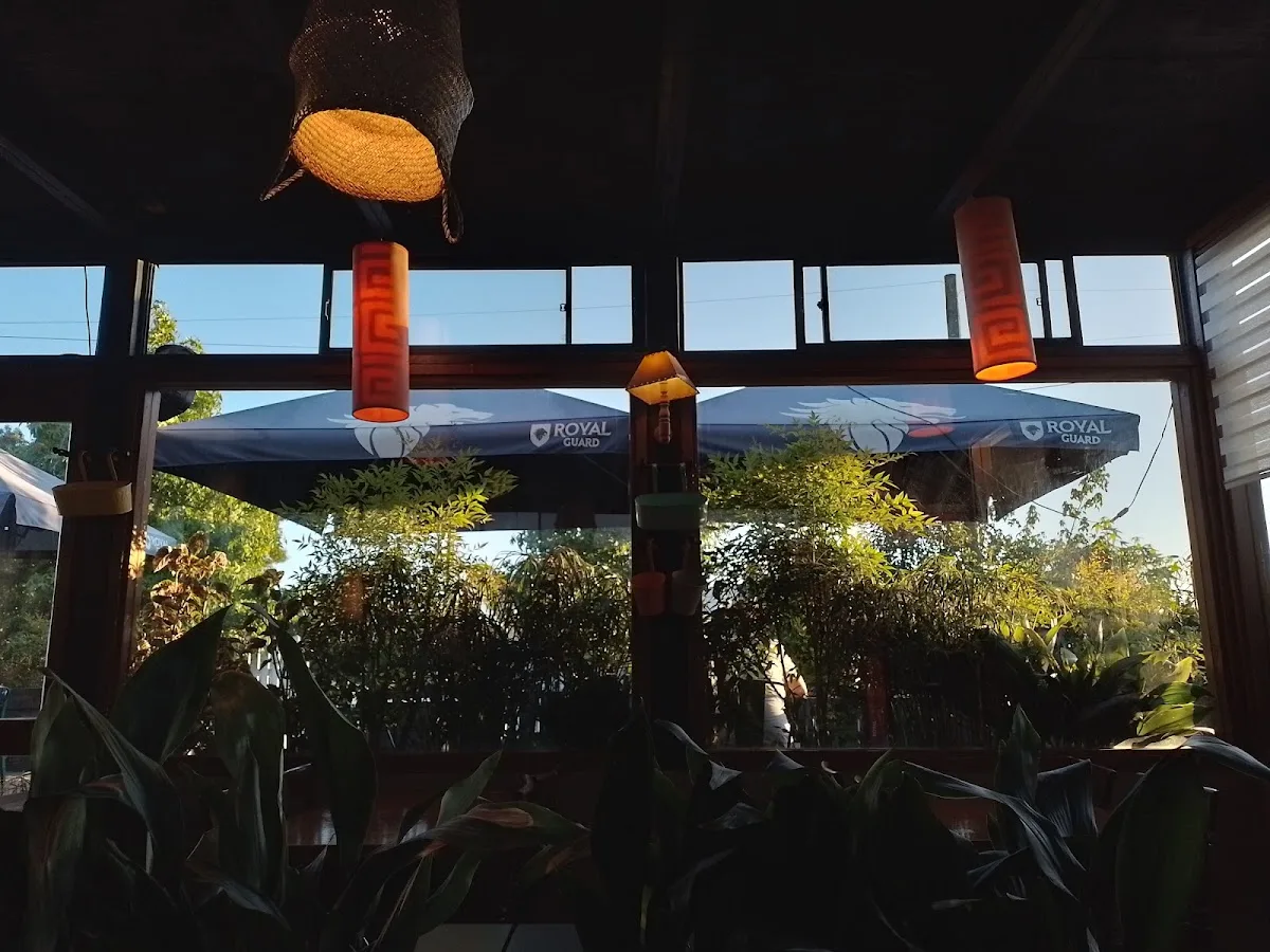 Terraza con sombrillas y jardineras
