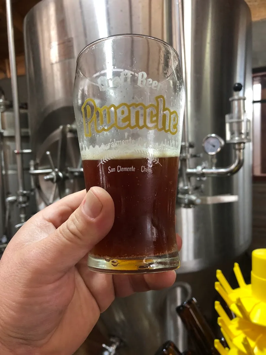 Vaso Pwenche servido frente a los estanques de acero de la fábrica