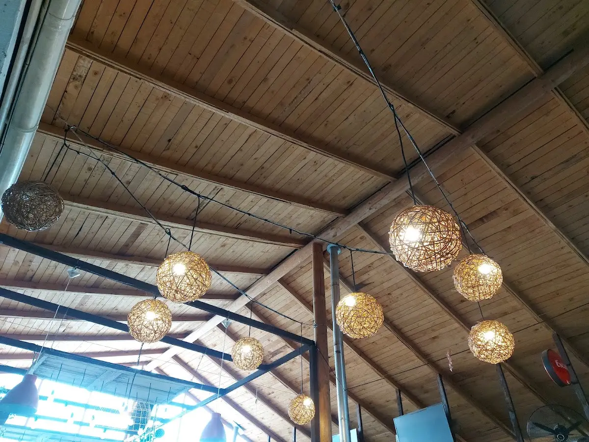 Techo de caña con lámparas tejidas colgando en Sebago Restobar, Hualañé