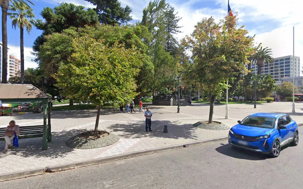 Plaza de Armas de Talca con arboleda y paraderos, frente a la oficina
