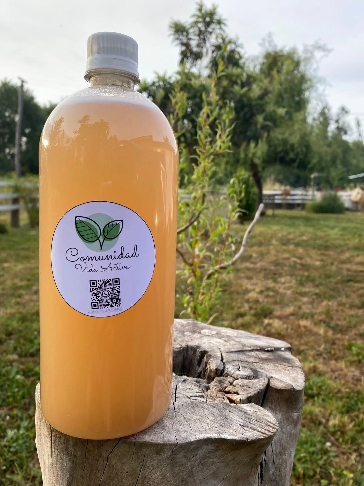 Jugo artesanal de emprendedora de Yerbas Buenas publicado en la guía