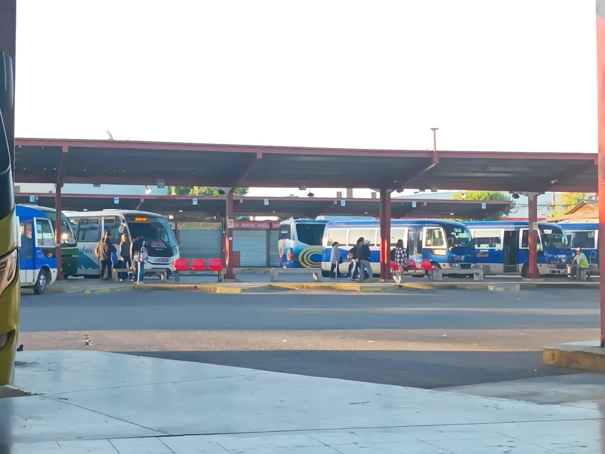 Buses de varias empresas estacionados en los andenes techados del terminal