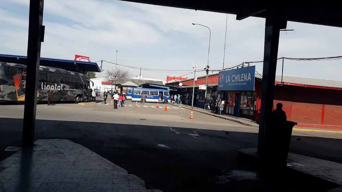 Andenes del terminal con buses y la licorería del patio
