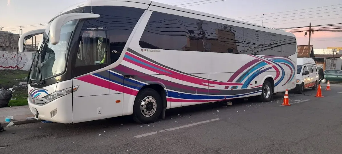 Bus interurbano con franjas rosadas y azules rotulado por Trazos