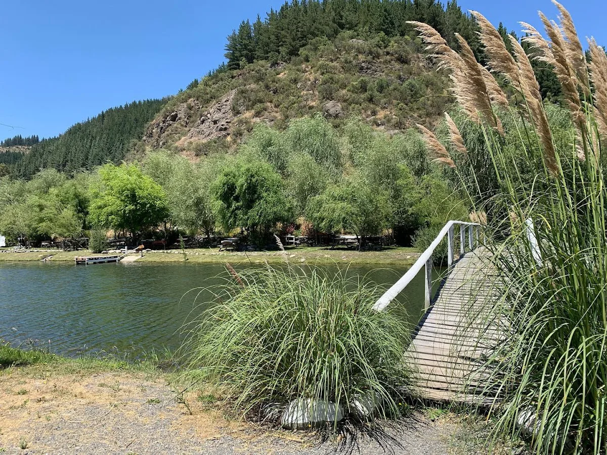 Piscina natural rodeada de juncos y árboles en Turismo Las Brujas
