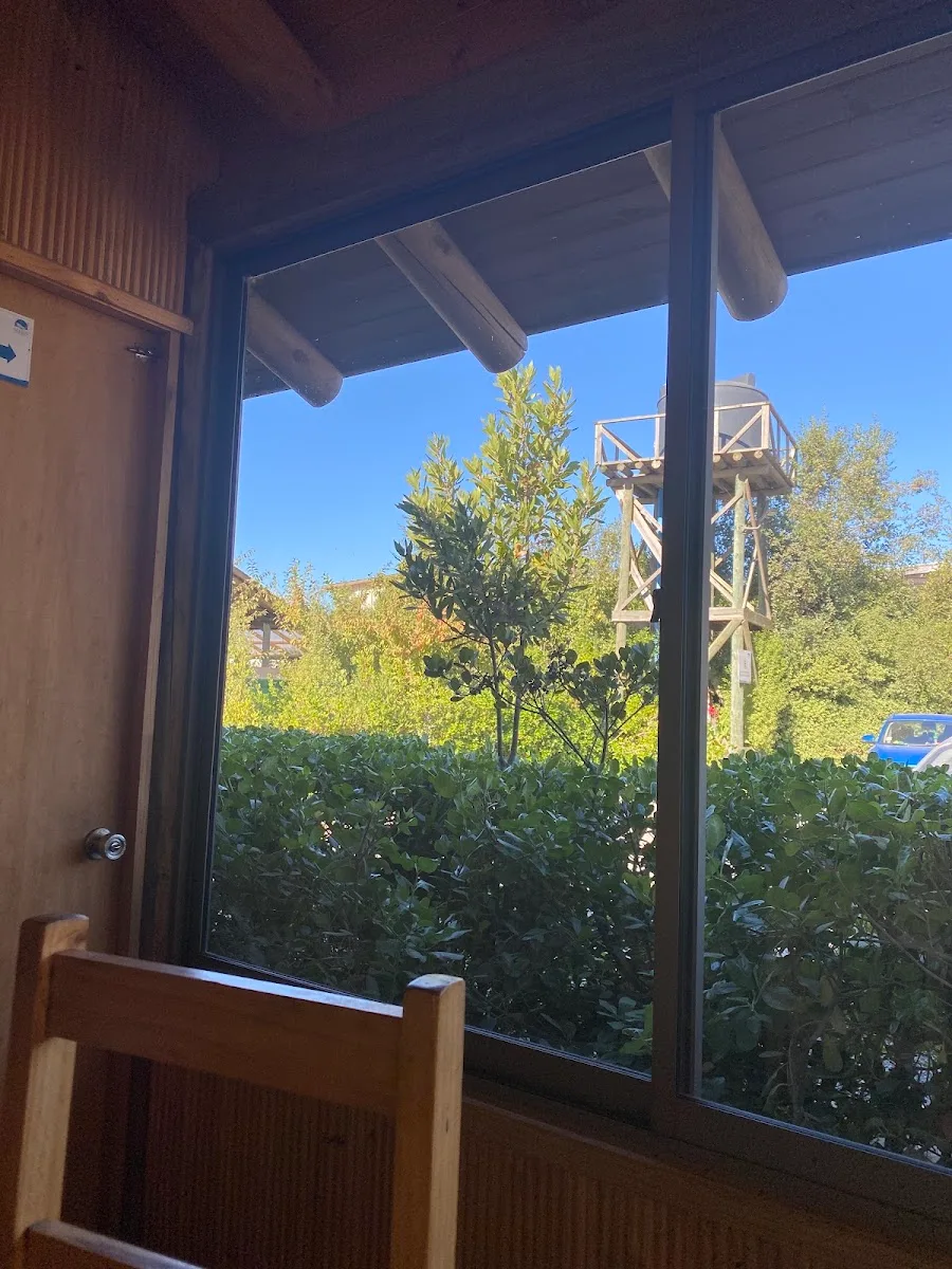 Vista al patio verde desde el interior de Varado
