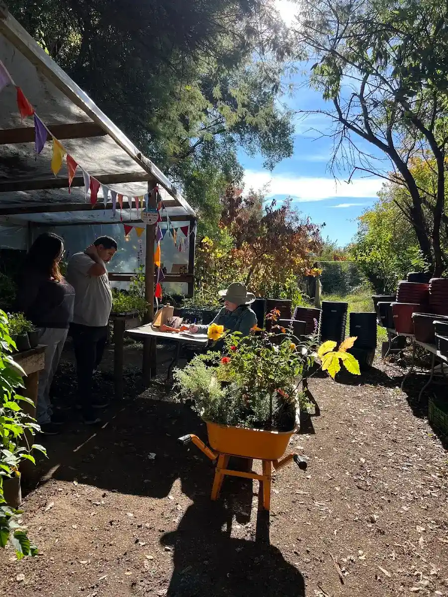 Entrada del vivero con banderines, carretilla y clientes atendiéndose