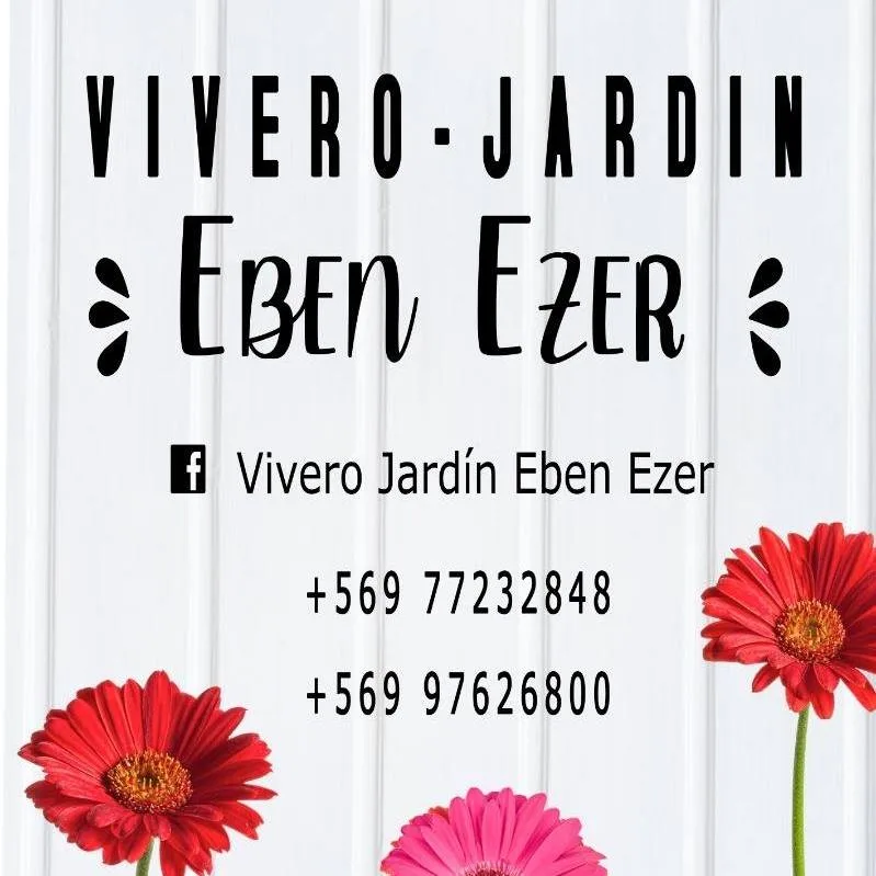 Carta real del Vivero Jardín Eben-Ezer con su nombre calado y gerberas rojas — publicada en su Facebook